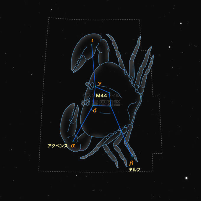 蟹座（星座と誕生日、性格、運勢）｜12星座図鑑