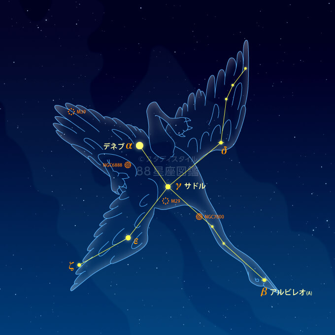 はくちょう座 星座図鑑