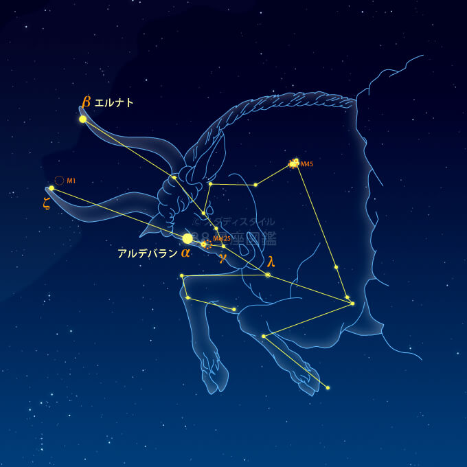 おうし座 牡牛座 星座図鑑