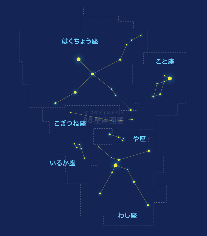 星座の位置と大きさ｜やさしい88星座図鑑